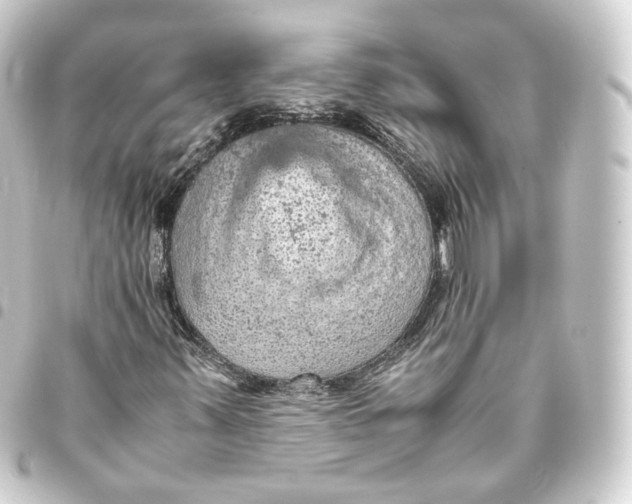 X0000093431347200711021026