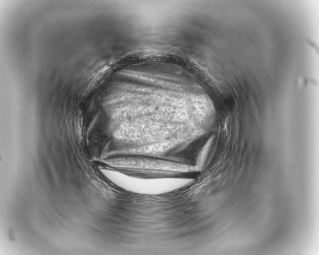 X0000093431348200711021026