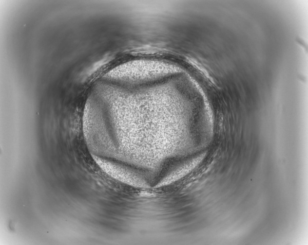 X0000093431350200711021026