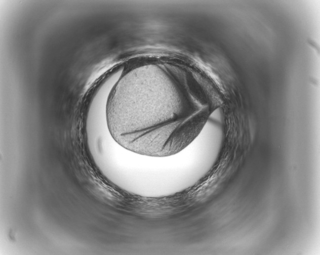 X0000093431352200711021026