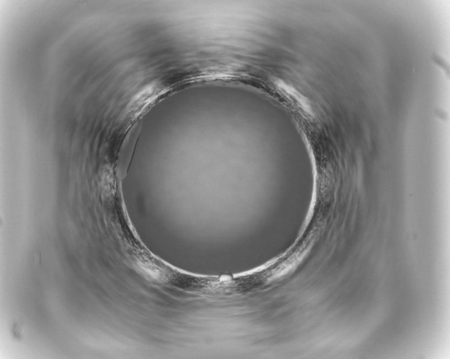 X0000093431353200711021026