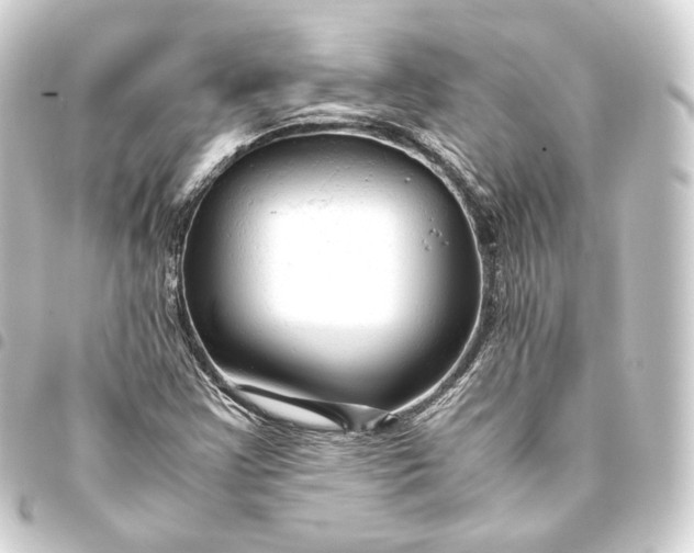 X0000093431355200711021026