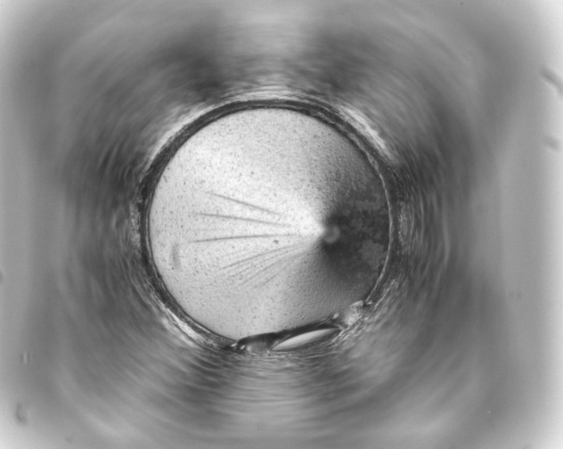 X0000093431356200711021026