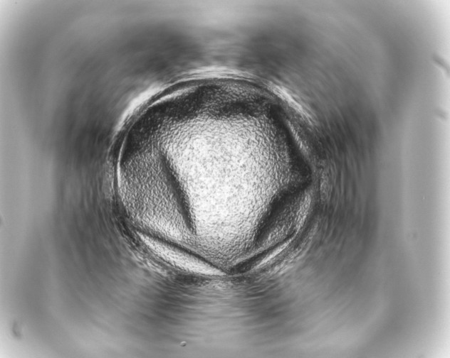 X0000093431358200711021026