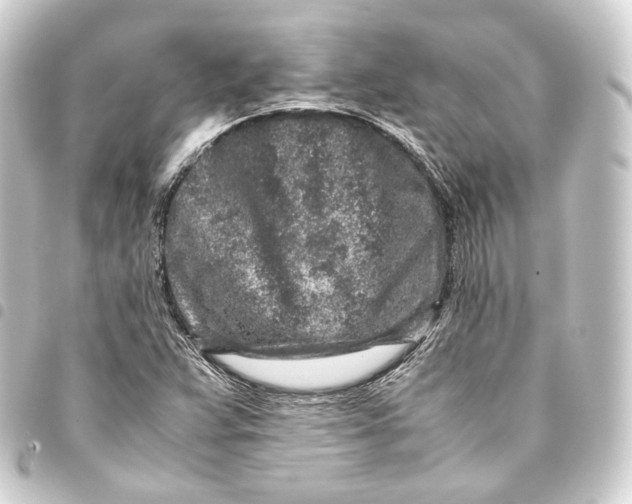 X0000093431359200711021026