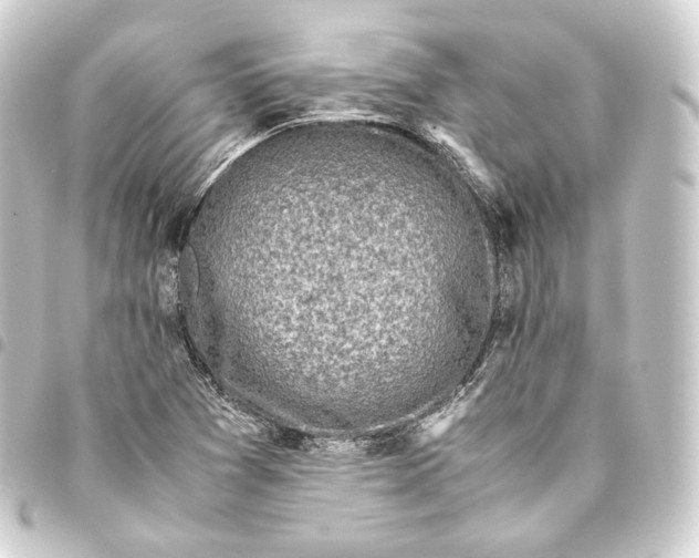 X0000093431361200711021026