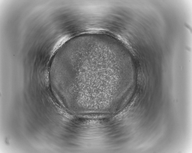 X0000093431362200711021026