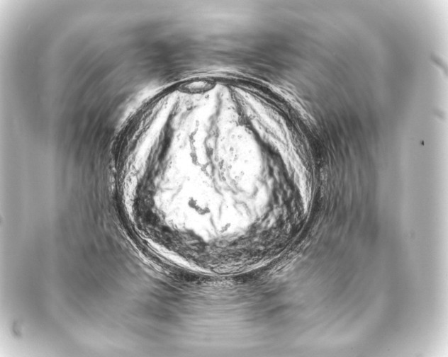 X0000093431363200711021026