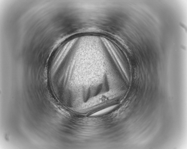 X0000093431364200711021026