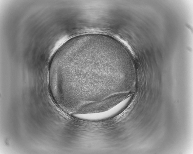 X0000093431365200711021026