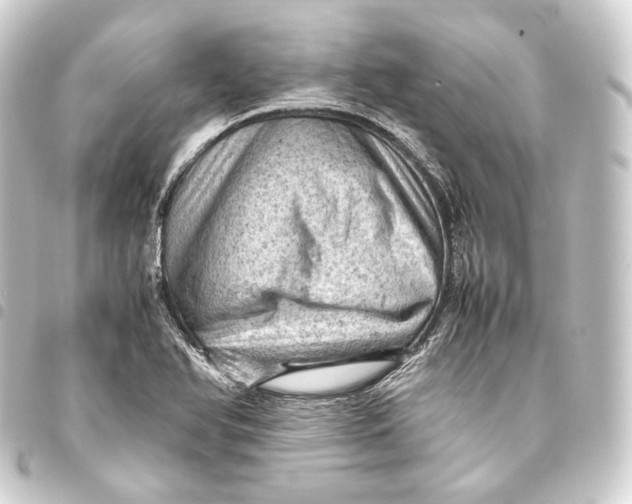 X0000093431366200711021026