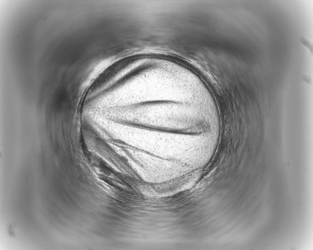 X0000093431367200711021025