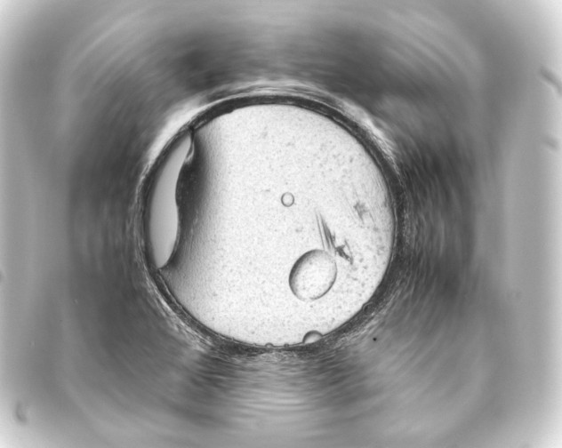 X0000093431368200711021025