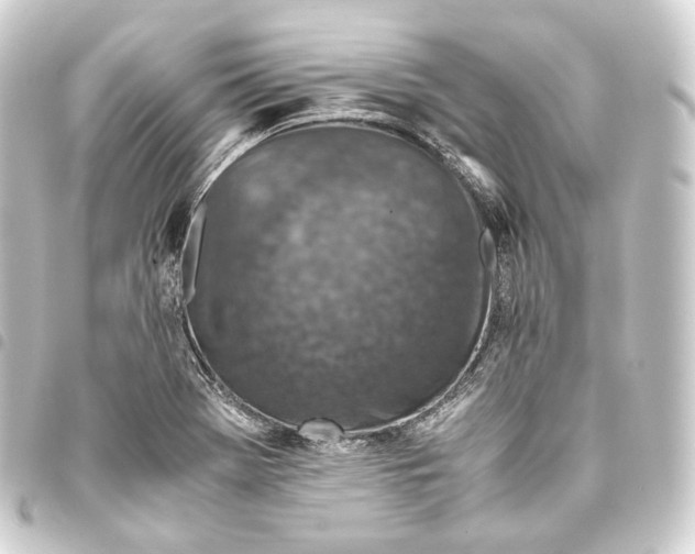 X0000093431369200711021025