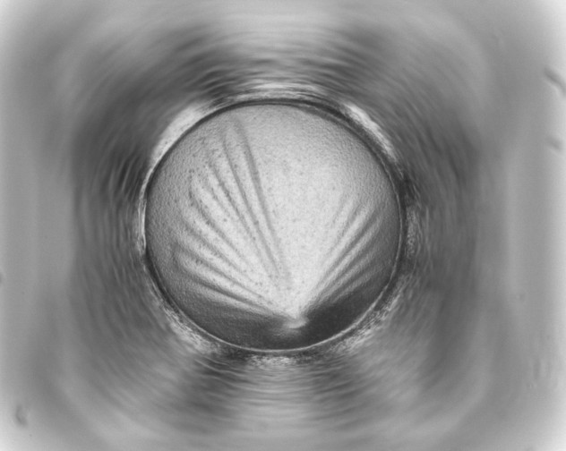 X0000093431370200711021025