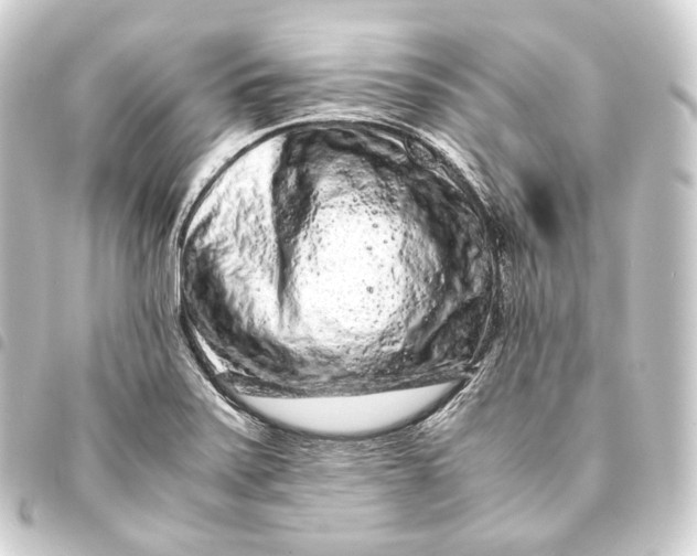 X0000093431371200711021025