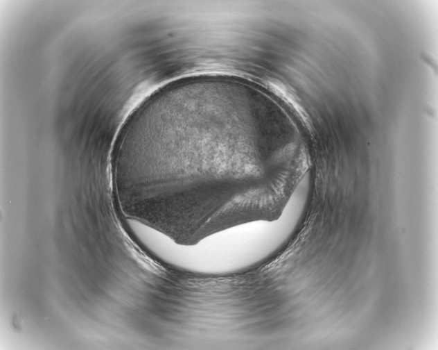 X0000093431372200711021025