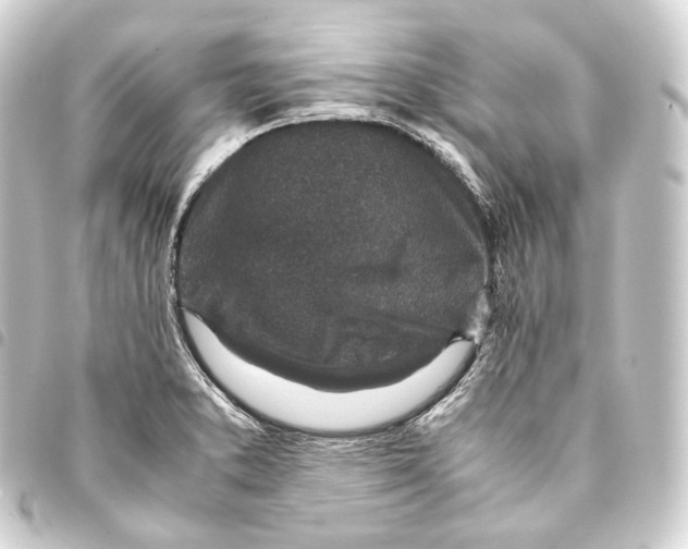 X0000093431373200711021025