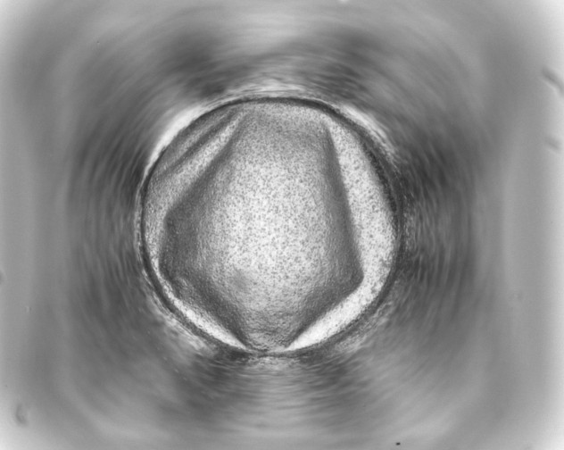 X0000093431374200711021025