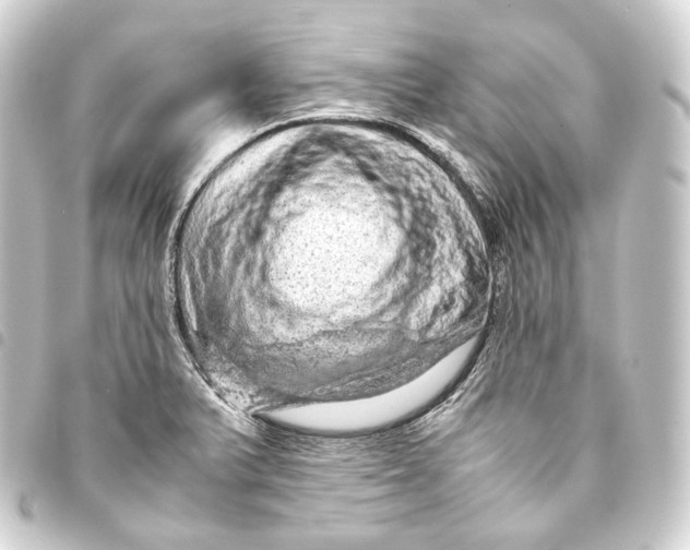 X0000093431375200711021025