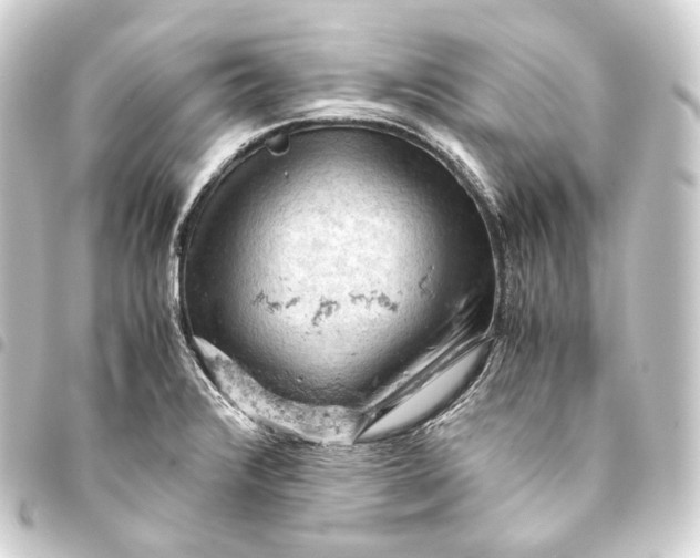 X0000093431376200711021025