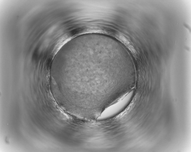 X0000093431377200711021025