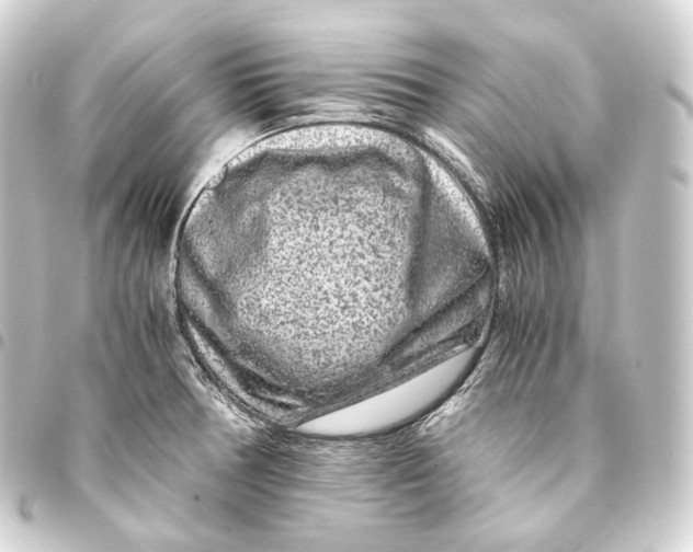 X0000093431378200711021025