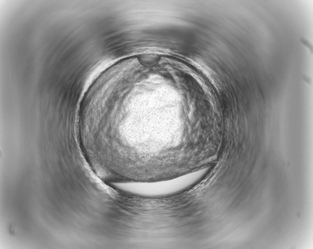 X0000093431379200711021025