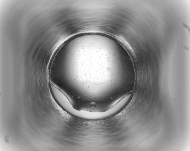 X0000093431380200711021025