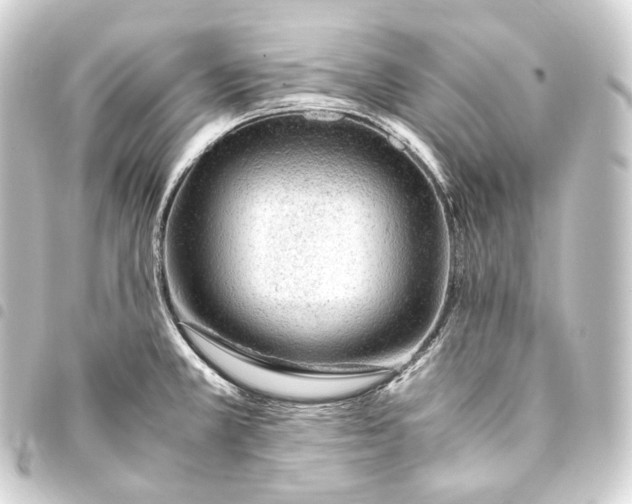 X0000093431381200711021025