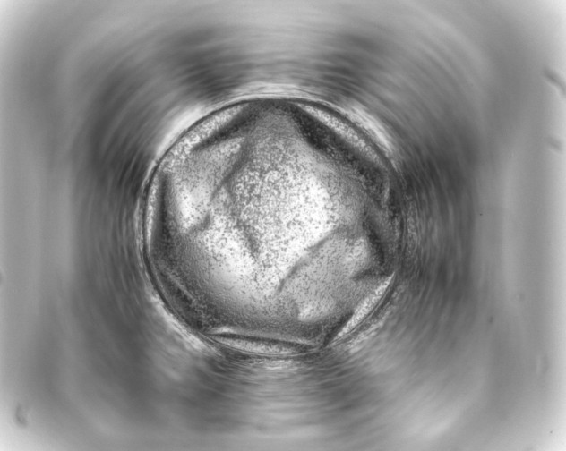 X0000093431382200711021025