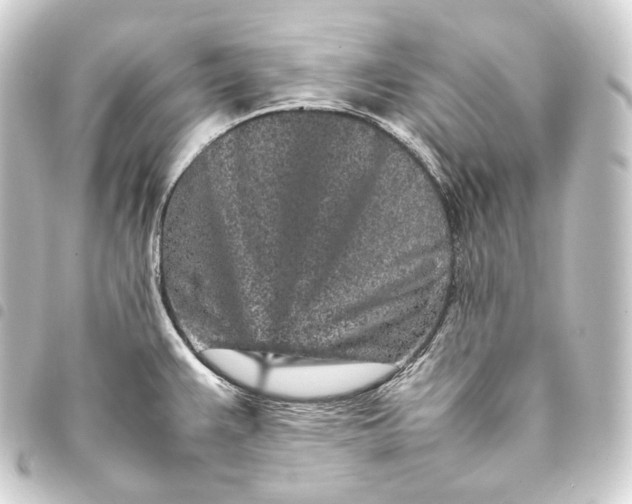 X0000093431383200711021025