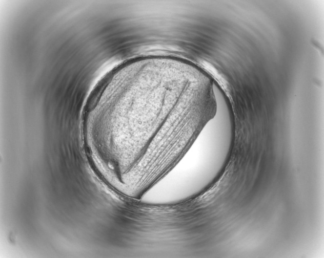 X0000093431384200711021025