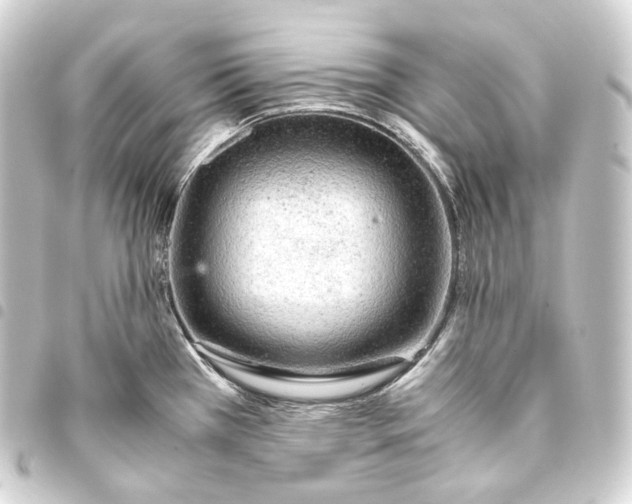 X0000093431385200711021025