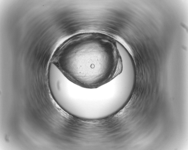 X0000093431388200711021025