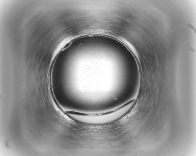 X0000093431389200711021025