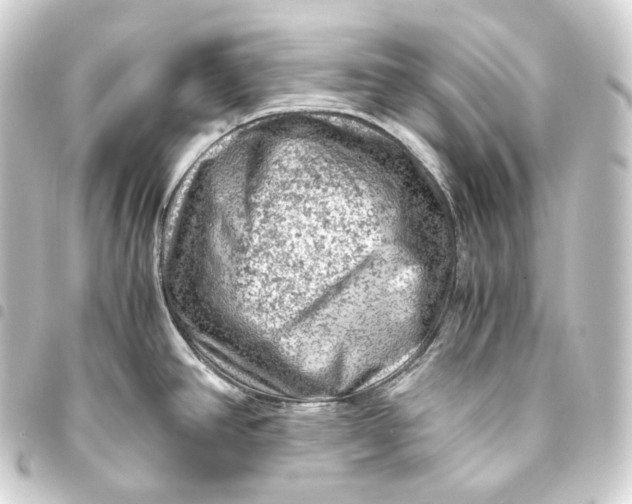 X0000093431390200711021025