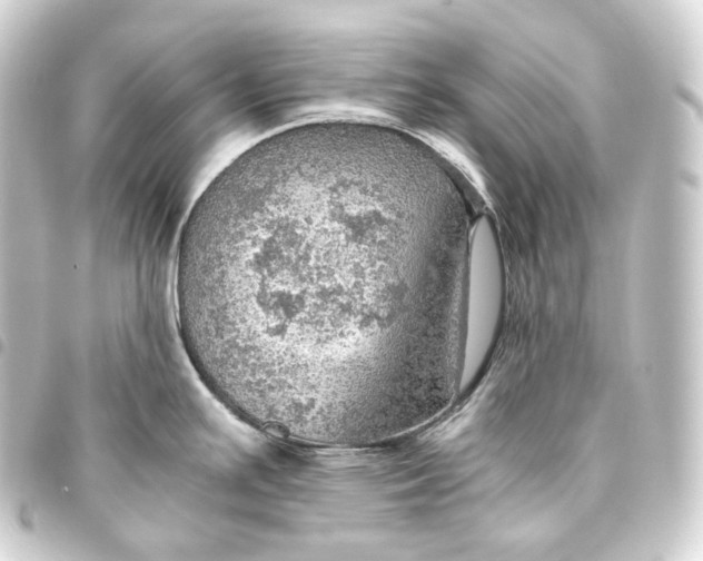 X0000093431391200711021025