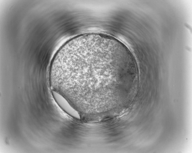 X0000093431392200711021025