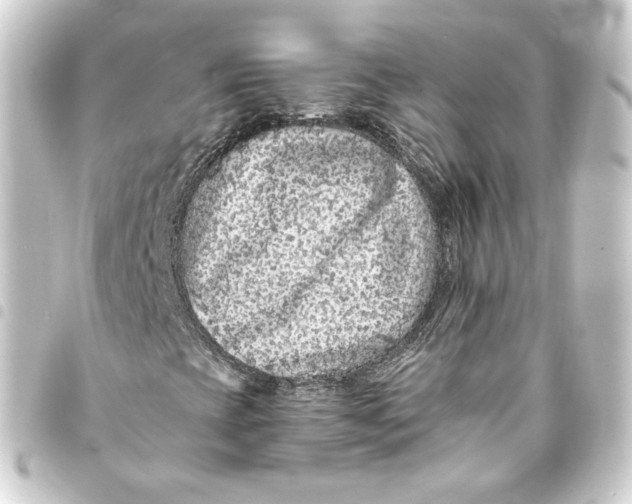 X0000093431393200711021025