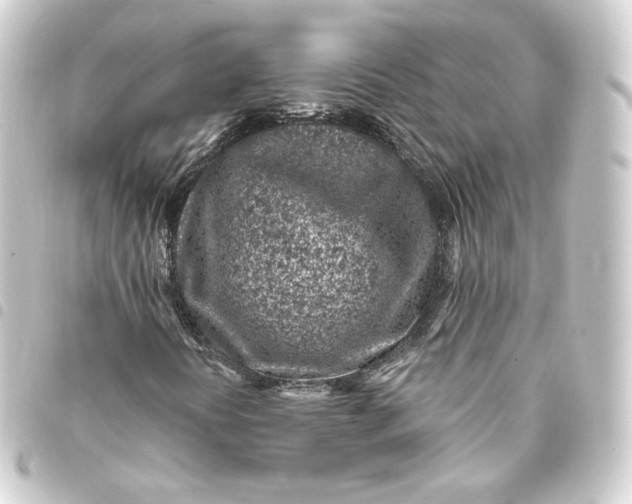 X0000093431394200711021025