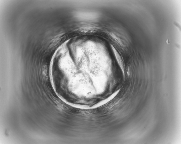 X0000093431396200711021025