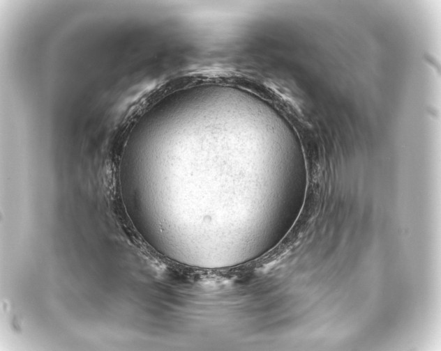 X0000093431398200711021025