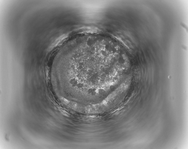 X0000093431399200711021025