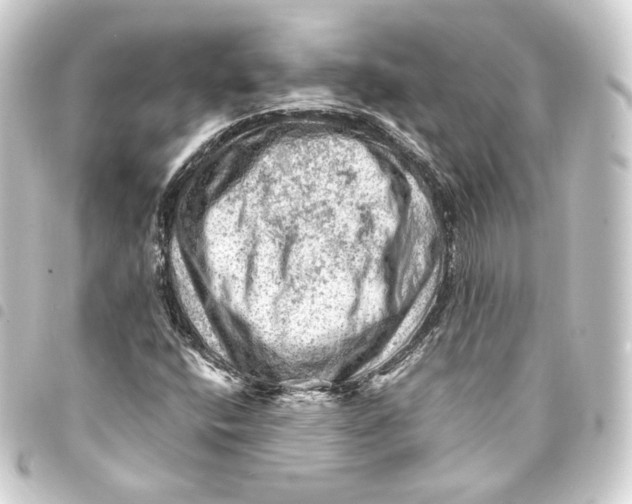 X0000093431400200711021025