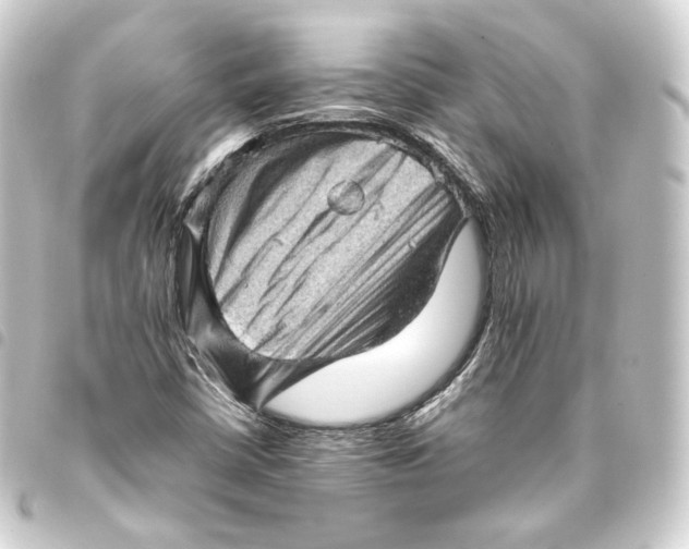 X0000093431402200711021025