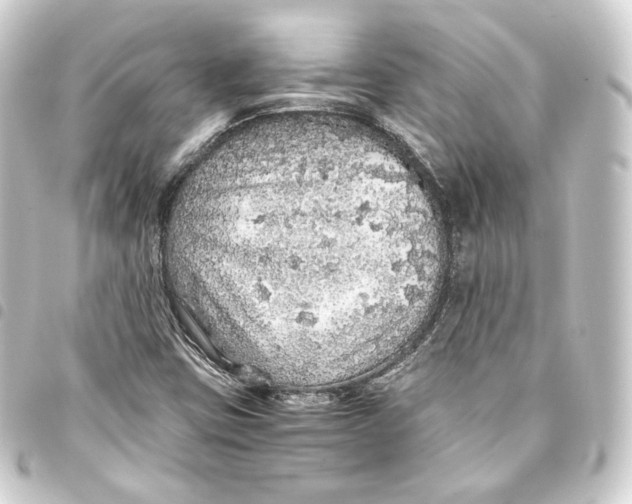 X0000093431403200711021025