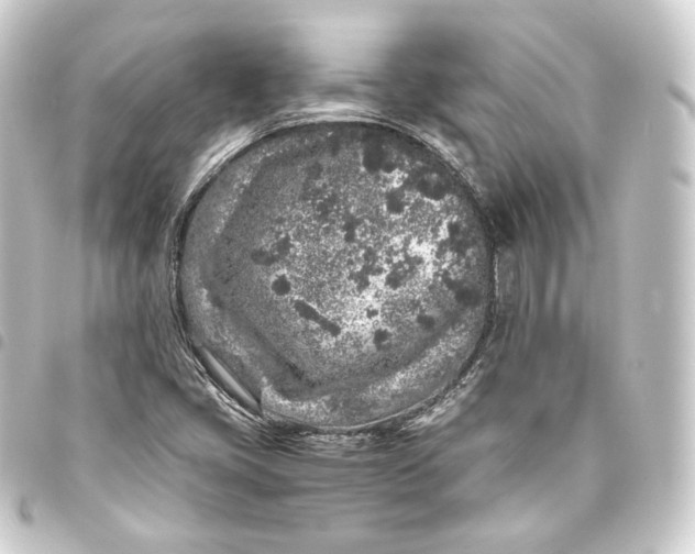 X0000093431405200711021025