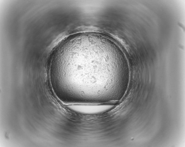 X0000093431407200711021025