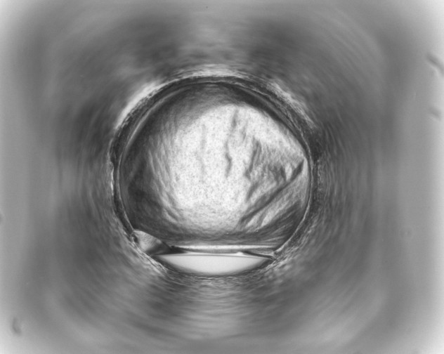 X0000093431408200711021025